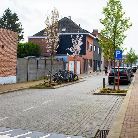 Sint-Albertuswijk