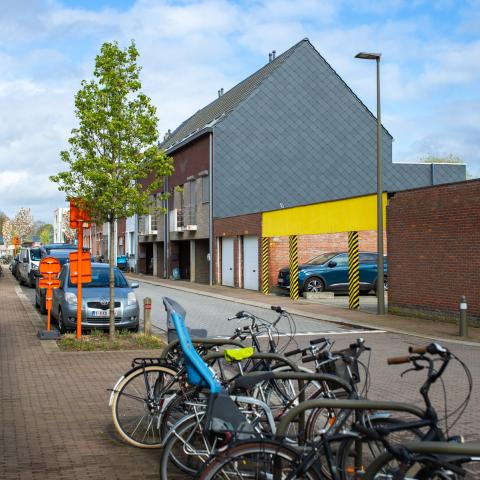 Sint-Albertuswijk