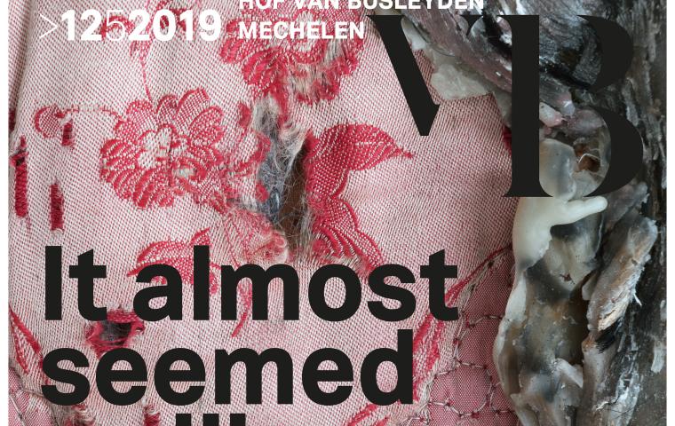 Een affiche met de titel "It almost seemed a lily Berlinde De Bruyckere".