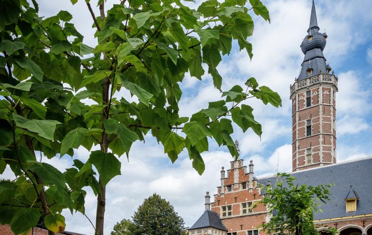 Door de blaadjes van een jonge boom zie je de toren van het stadspaleis.