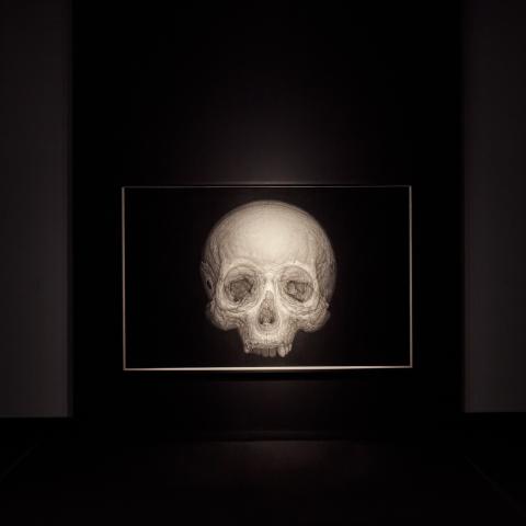 A large, photorealistic drawing of a skull hangs on a black wall.