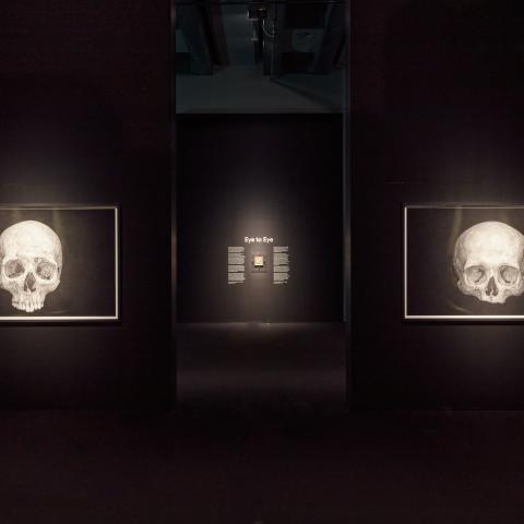 Two large, photorealistic drawings of skulls hang on black walls.