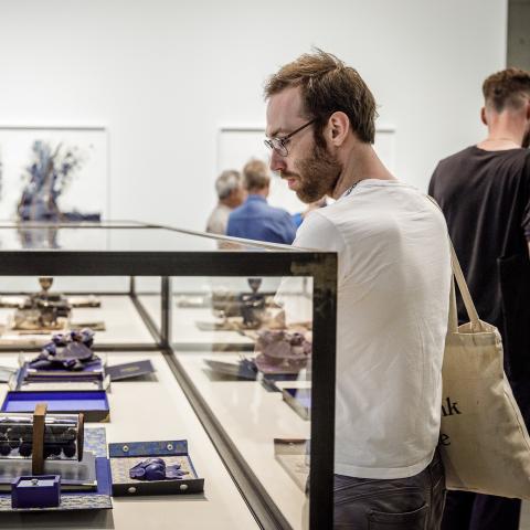 Een bezoeker kijkt naar een vitrine met hedendaags kunstwerk.