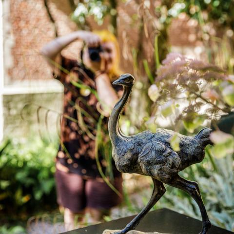 Bezoeker neemt foto van sculptuur van een vogel in de tuinen.
