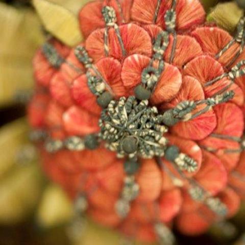 Close-up van een rode bloem gemaakt uit ijzerdraad en zijdegaren.