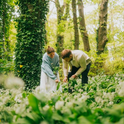 Twee mensen staan in een weelderig groen bos en plukken kruiden.